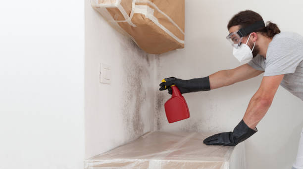 Professional Attic Mold Remediation technician working in Budd Lake, NJ