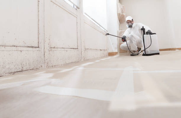 24/7 Emergency Attic Mold Remediation experts in Budd Lake, NJ