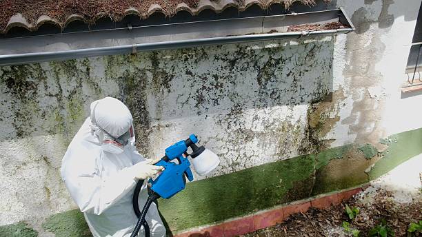 Top rated local Attic Mold Remediation specialists in Budd Lake, NJ